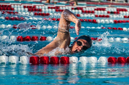 Mesa's Palmese to Swim Catalina Channel for Charity