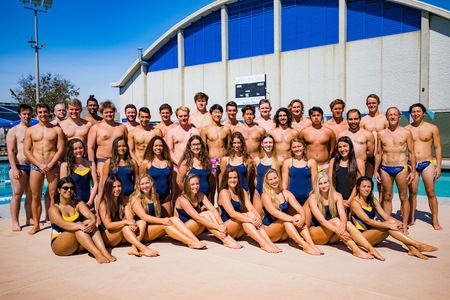 Men and women - swim and dive 2017